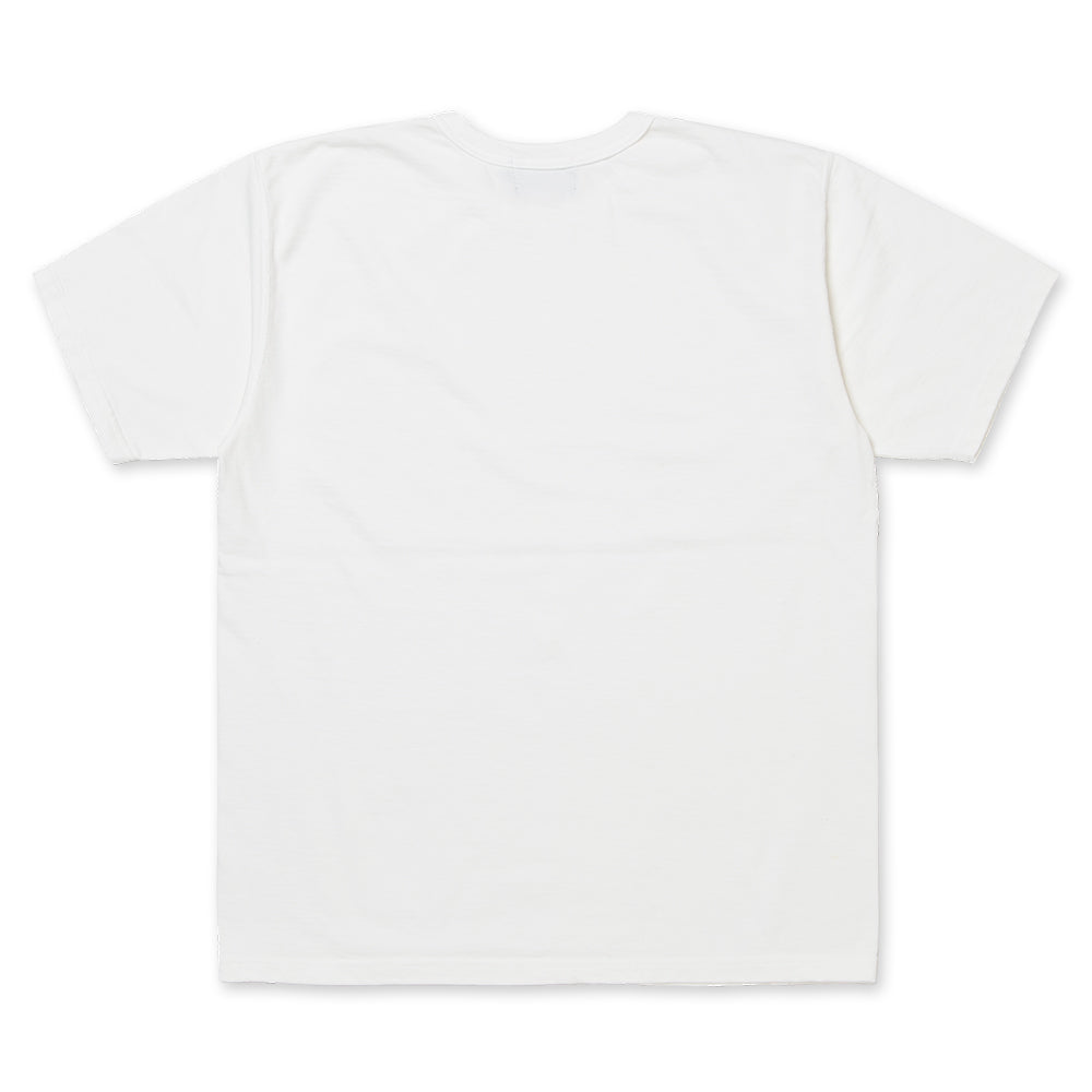 STUDIO D’ARTISAN ダルチザン スヴィンゴールド丸胴Tシャツ 【8173】